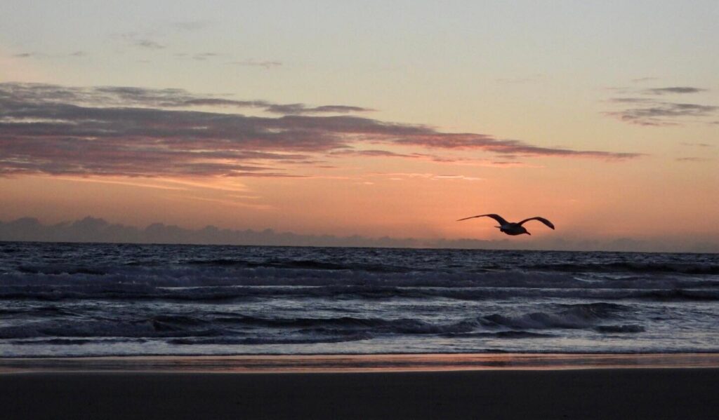 277894380 1151560468942614 2498334732667306543 n